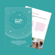 Charity Bank State of the Sector report